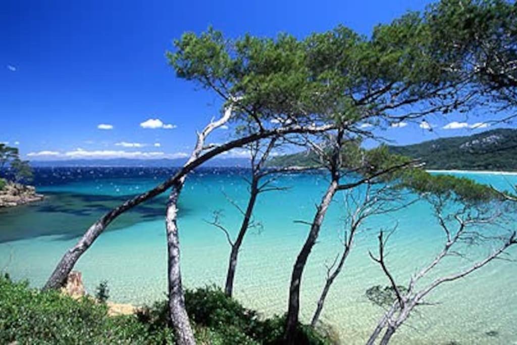 Villa Saint-Come, Du Grand Luxe A 1 Min De La Mer Hyères Exteriör bild